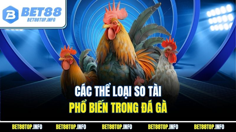 Đá Gà Bet88 – Xu Hướng Cá Độ Hấp Dẫn Nhất Năm 2025 3 Các thể loại so tài phổ biến trong đá gà