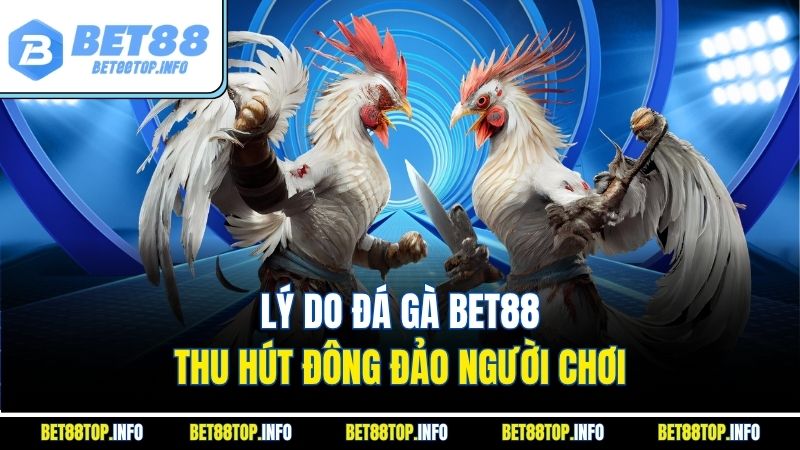 Đá Gà Bet88 – Xu Hướng Cá Độ Hấp Dẫn Nhất Năm 2025 1 Lý do đá gà bet88 thu hút đông đảo người chơi
