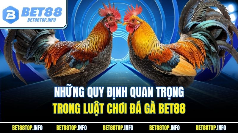 Đá Gà Bet88 – Xu Hướng Cá Độ Hấp Dẫn Nhất Năm 2025 2 Những quy định quan trọng trong luật chơi đá gà bet88